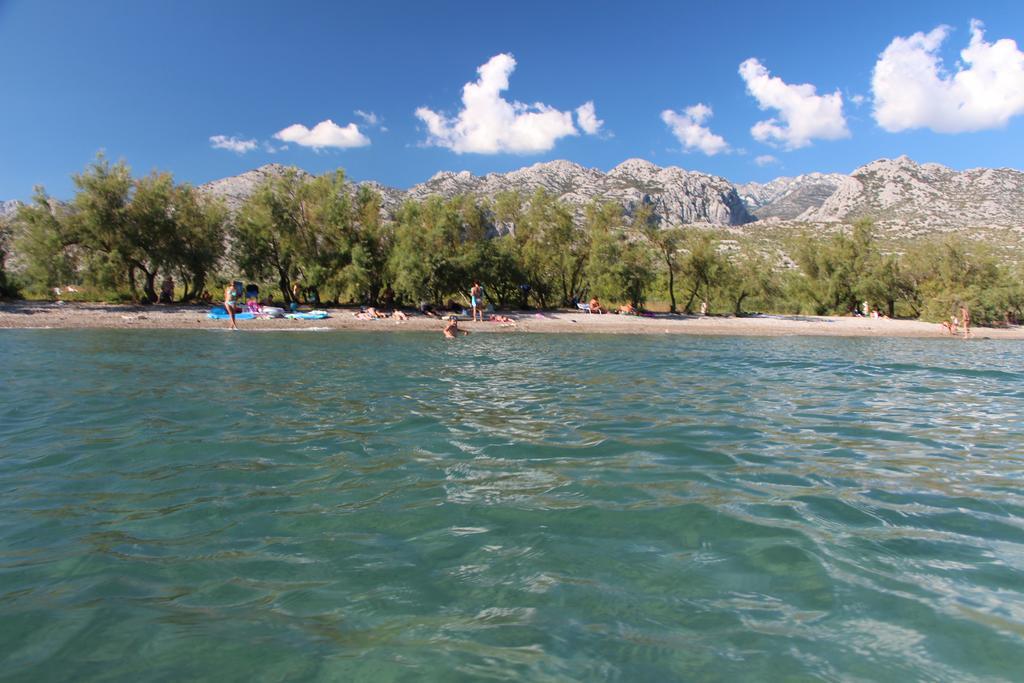 Apartments Zdenka Starigrad Paklenica Exteriör bild
